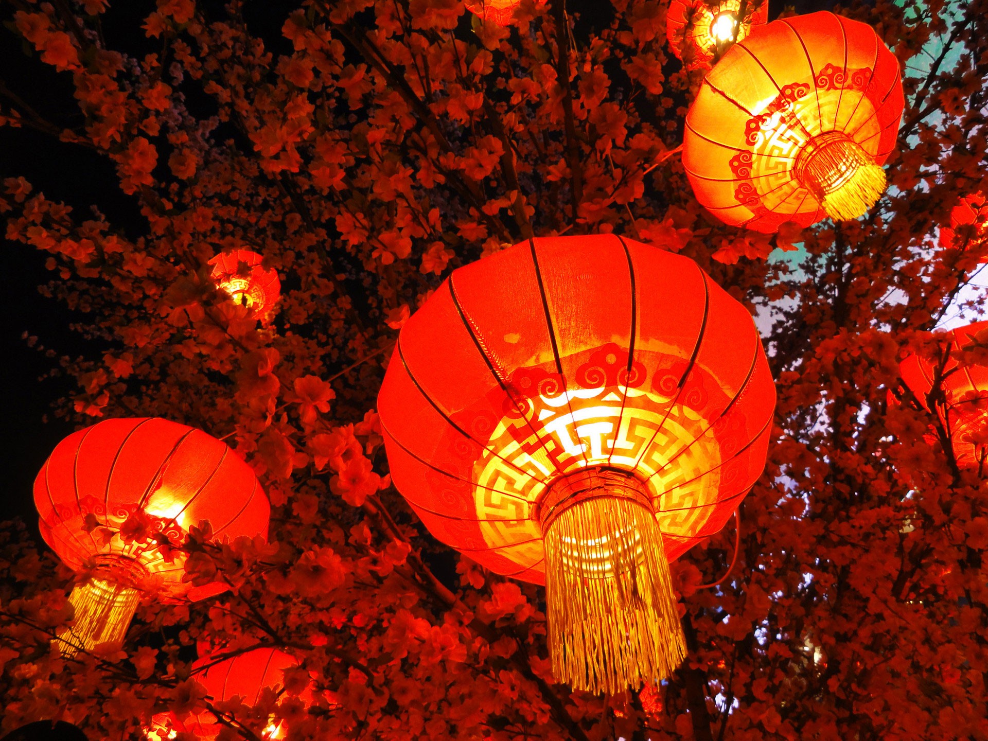 秦开电气设备恭祝全国人民新年快乐！